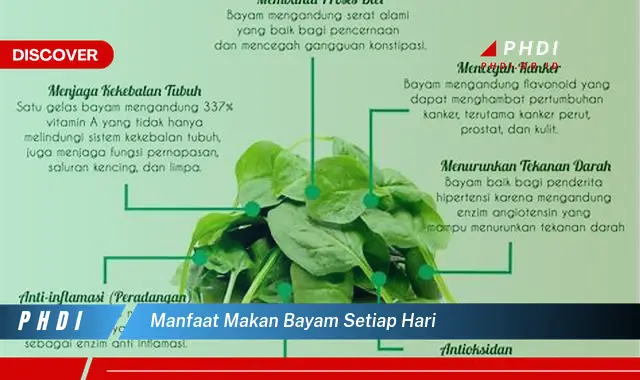 manfaat makan bayam setiap hari