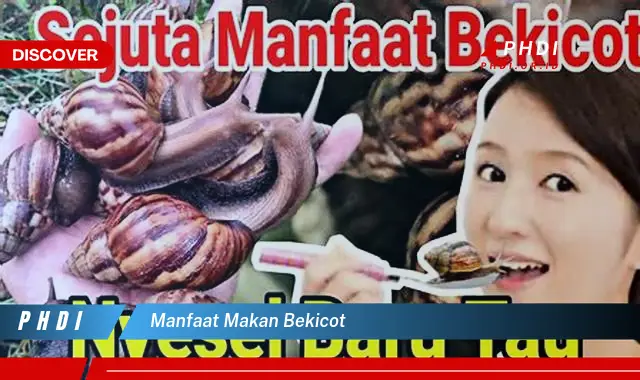 manfaat makan bekicot