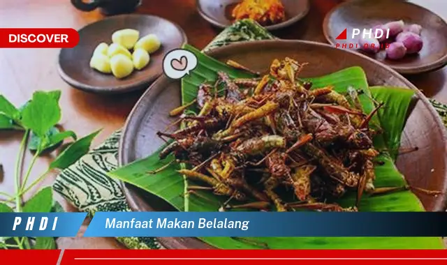 manfaat makan belalang