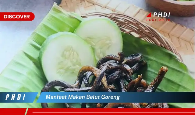 manfaat makan belut goreng