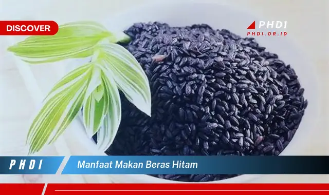 manfaat makan beras hitam