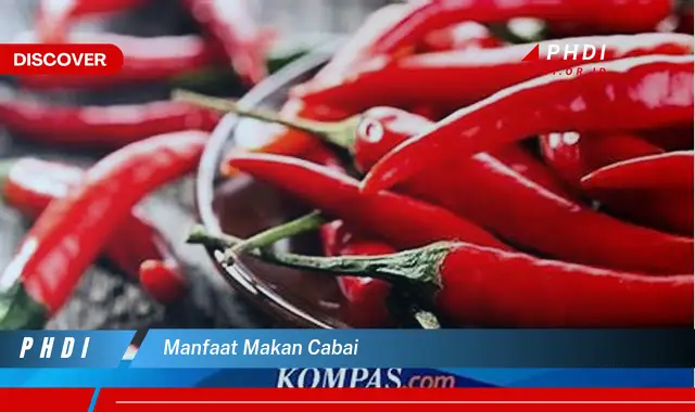 manfaat makan cabai