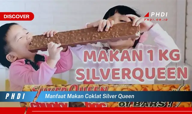 manfaat makan coklat silver queen