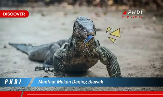 manfaat makan daging biawak