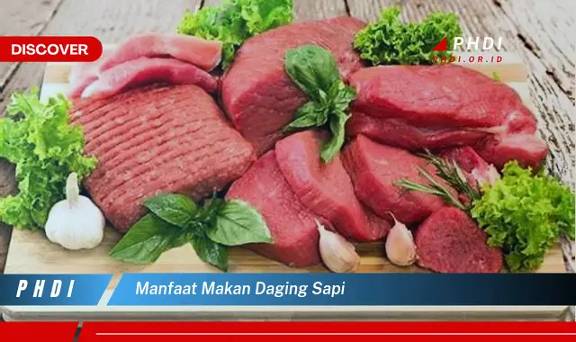 manfaat makan daging sapi