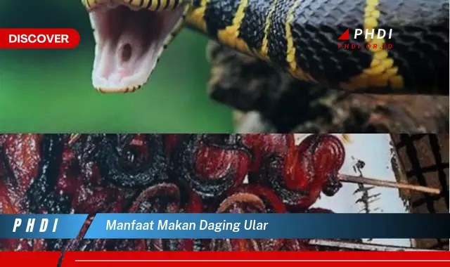 7 Manfaat Makan Daging Ular yang Bikin Kamu Penasaran