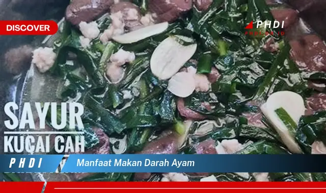 manfaat makan darah ayam