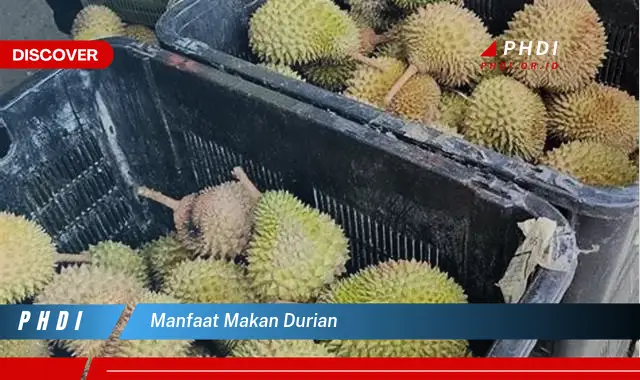 Temukan Manfaat Makan Durian yang Jarang Diketahui