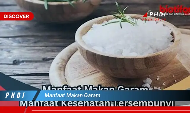 manfaat makan garam