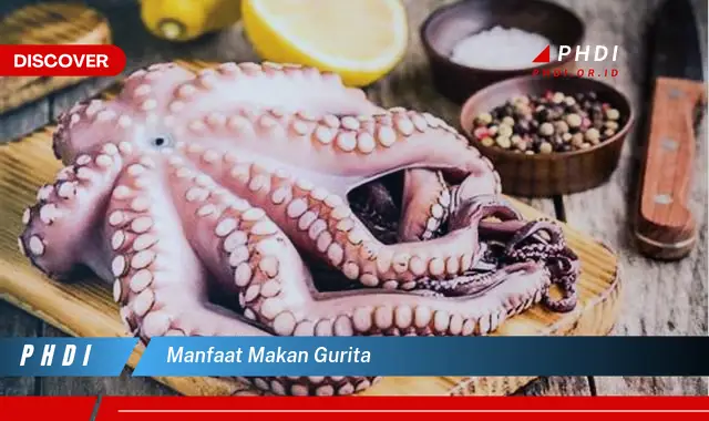 manfaat makan gurita