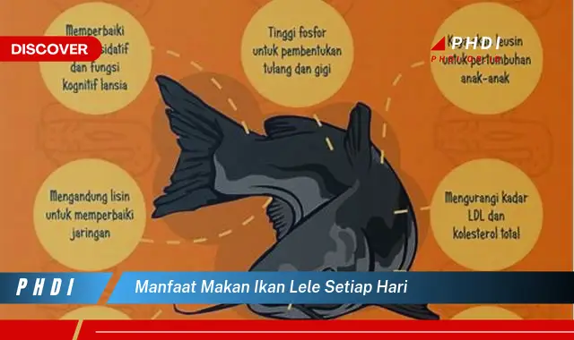 manfaat makan ikan lele setiap hari