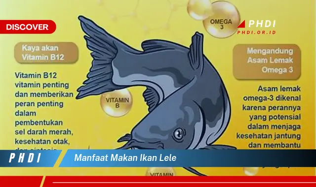 manfaat makan ikan lele