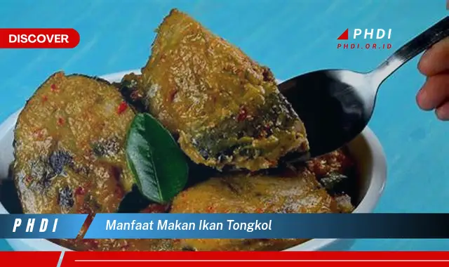 manfaat makan ikan tongkol