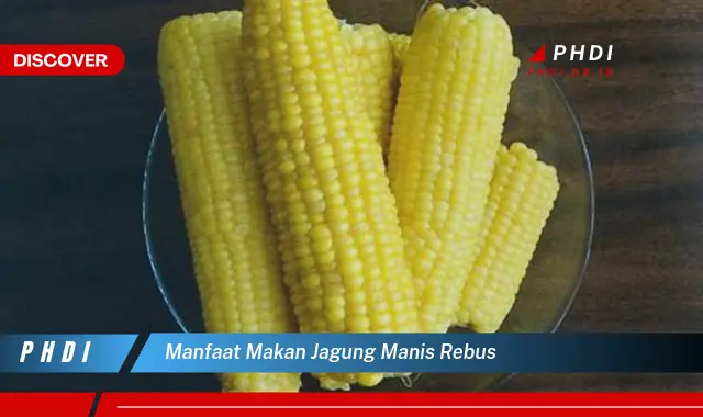 manfaat makan jagung manis rebus