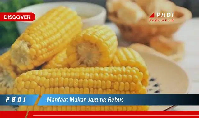 manfaat makan jagung rebus