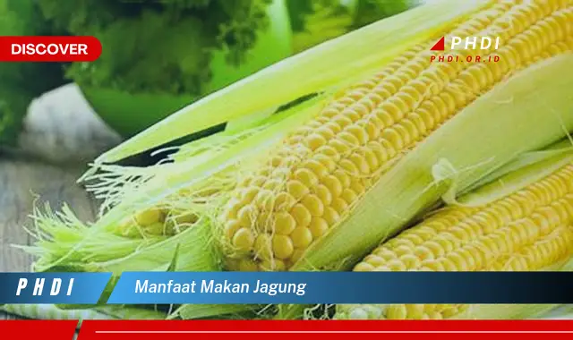 manfaat makan jagung