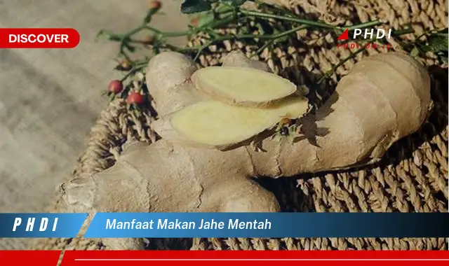 manfaat makan jahe mentah