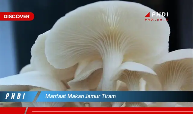 Ketahui 7 Manfaat Makan Jamur Tiram yang Jarang Diketahui