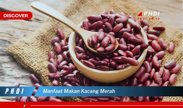 manfaat makan kacang merah