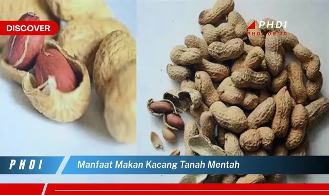 manfaat makan kacang tanah mentah