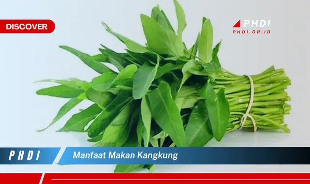 manfaat makan kangkung