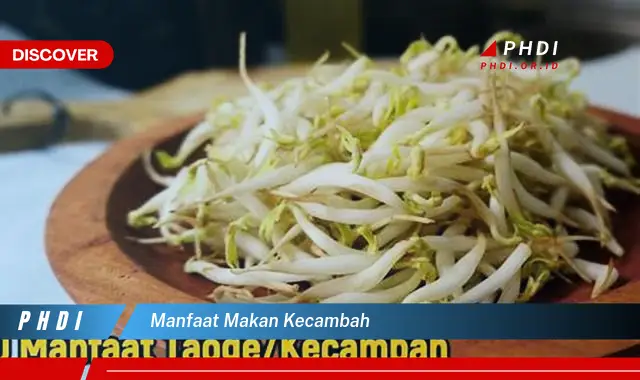 manfaat makan kecambah