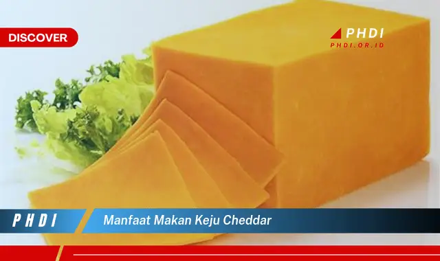 manfaat makan keju cheddar