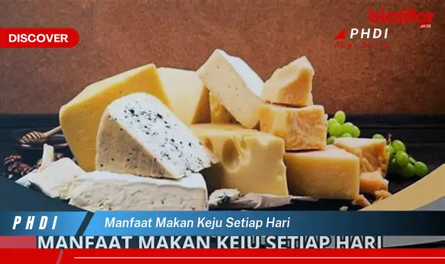 manfaat makan keju setiap hari