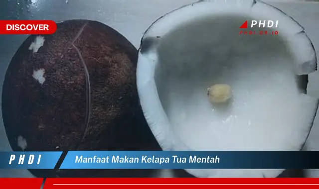 manfaat makan kelapa tua mentah