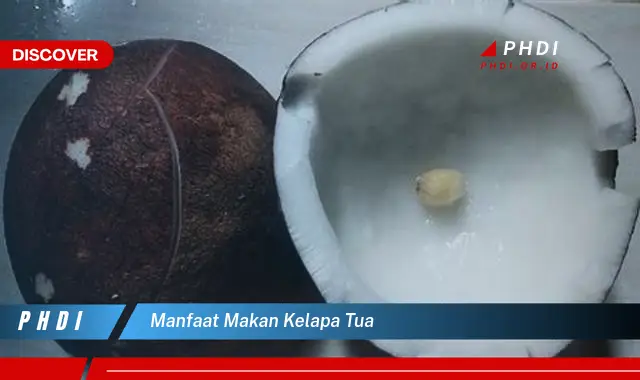 manfaat makan kelapa tua