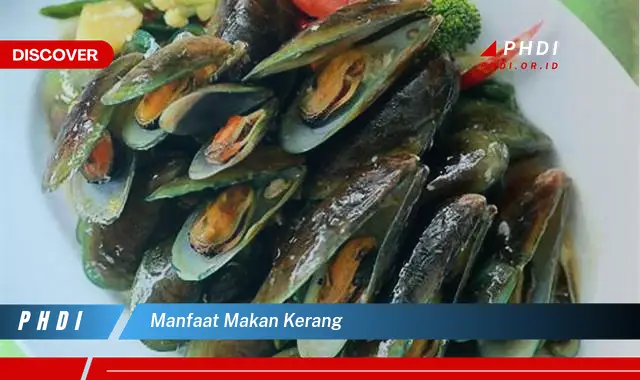 manfaat makan kerang