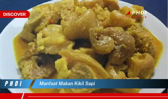 manfaat makan kikil sapi