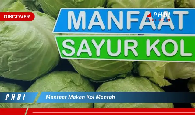 manfaat makan kol mentah