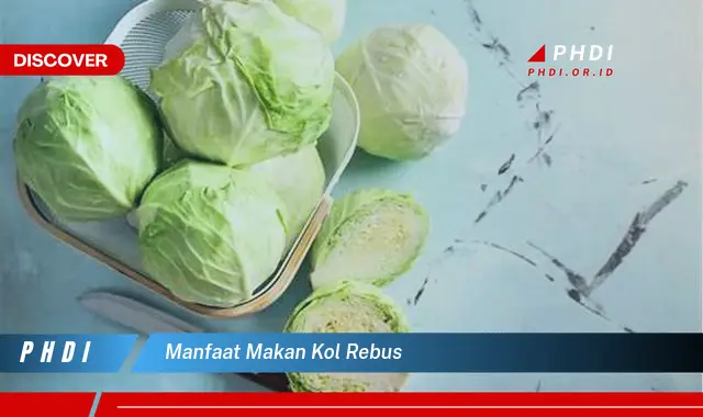 manfaat makan kol rebus