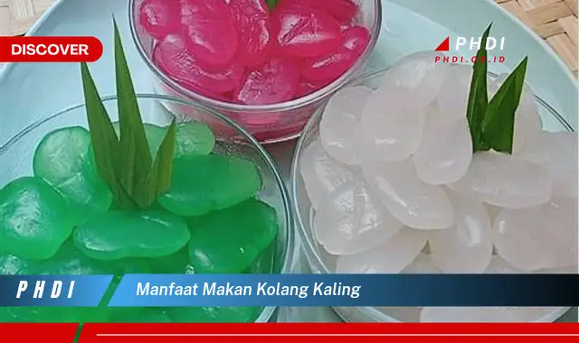 manfaat makan kolang kaling