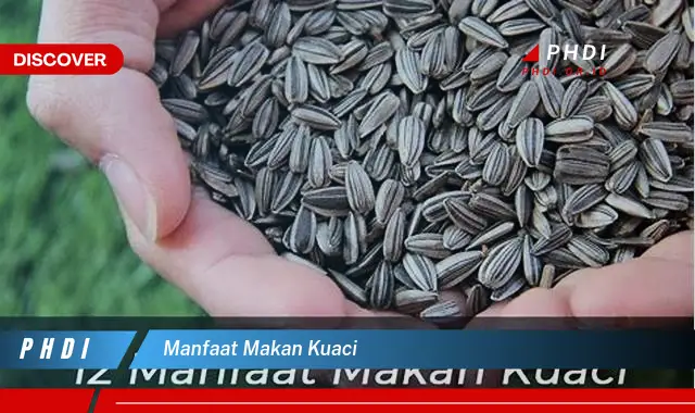 manfaat makan kuaci