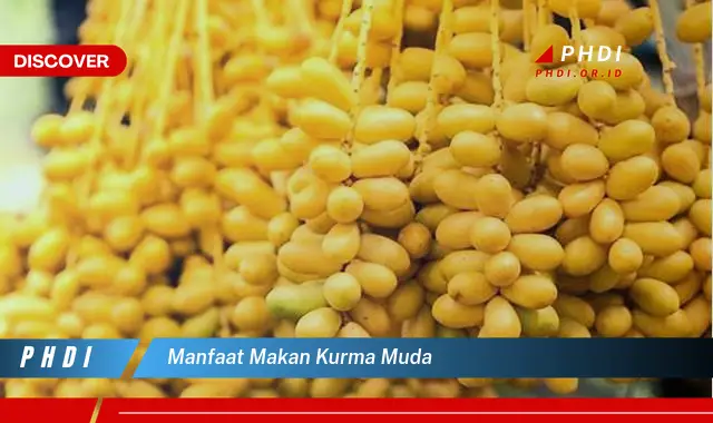 manfaat makan kurma muda