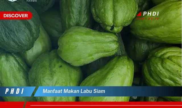 manfaat makan labu siam