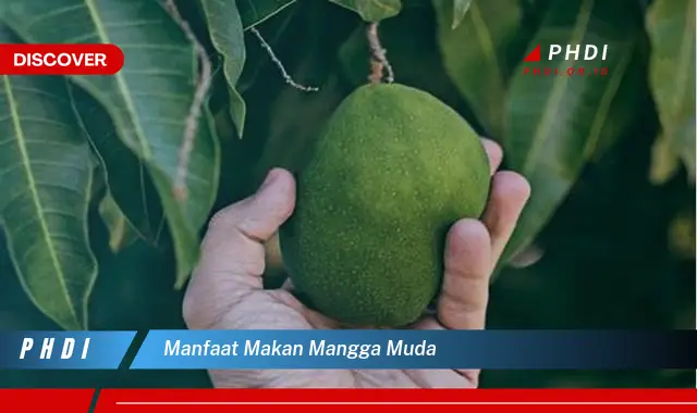 manfaat makan mangga muda