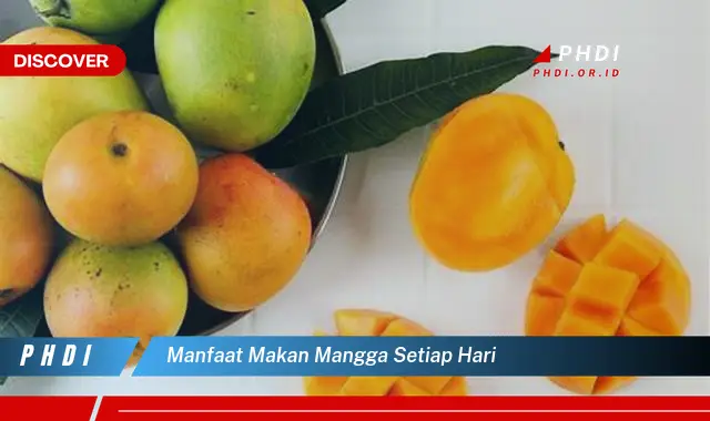 manfaat makan mangga setiap hari