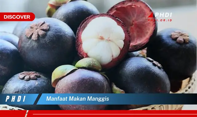 manfaat makan manggis