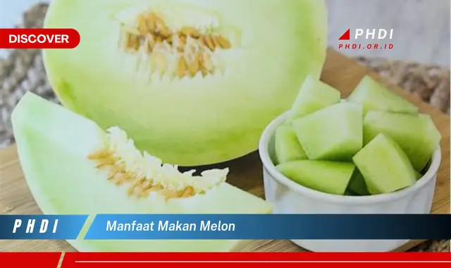 Temukan Manfaat Makan Melon yang Bikin Kamu Penasaran
