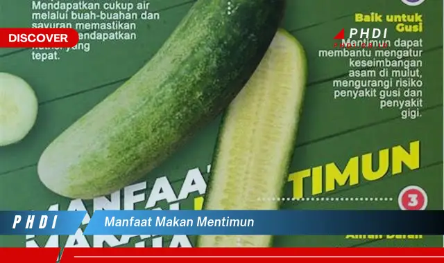 manfaat makan mentimun