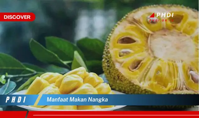 manfaat makan nangka