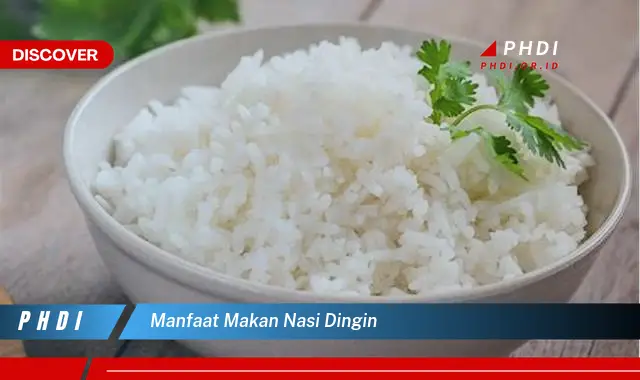 manfaat makan nasi dingin