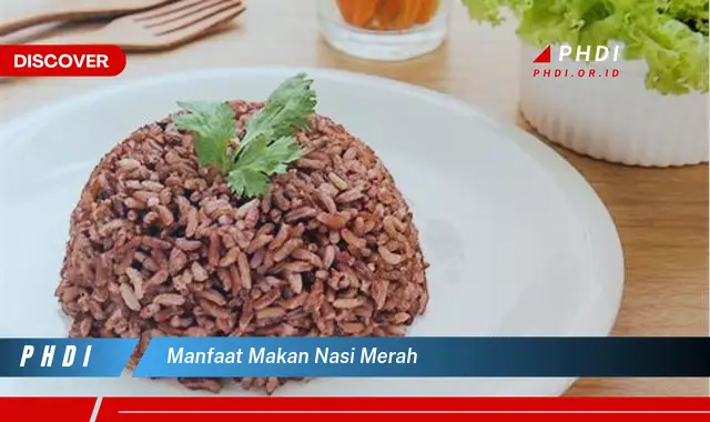 manfaat makan nasi merah