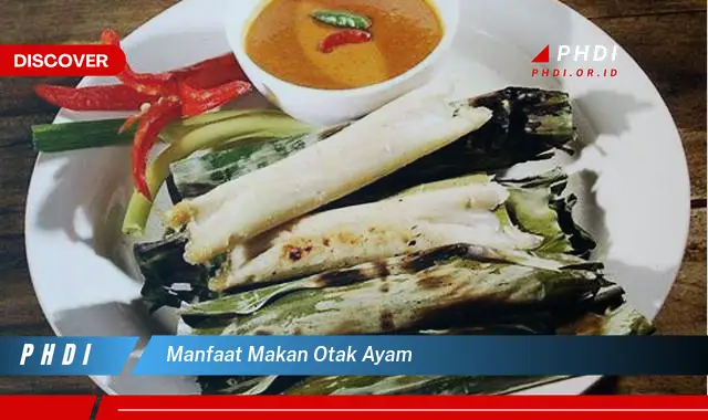 manfaat makan otak ayam