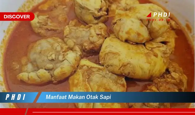 manfaat makan otak sapi