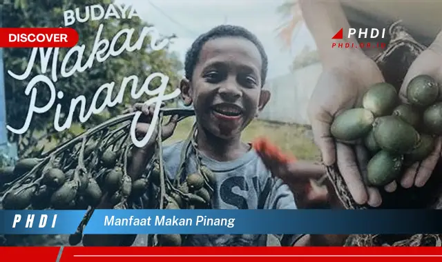 manfaat makan pinang