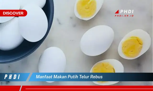 manfaat makan putih telur rebus